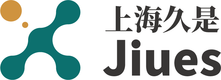 上海久是信息科技发展有限公司